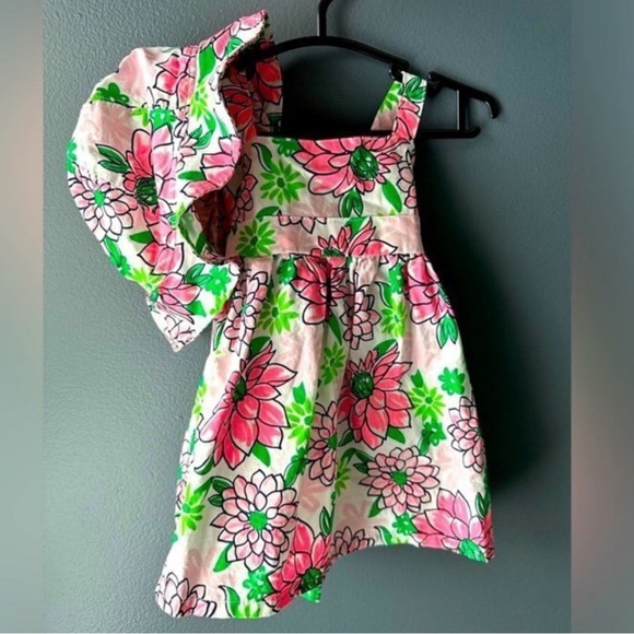 🌸 LIKE NEW Carter’s baby Dress & Matching Sun Hat 6 months girl baby - Picture 1 of 12